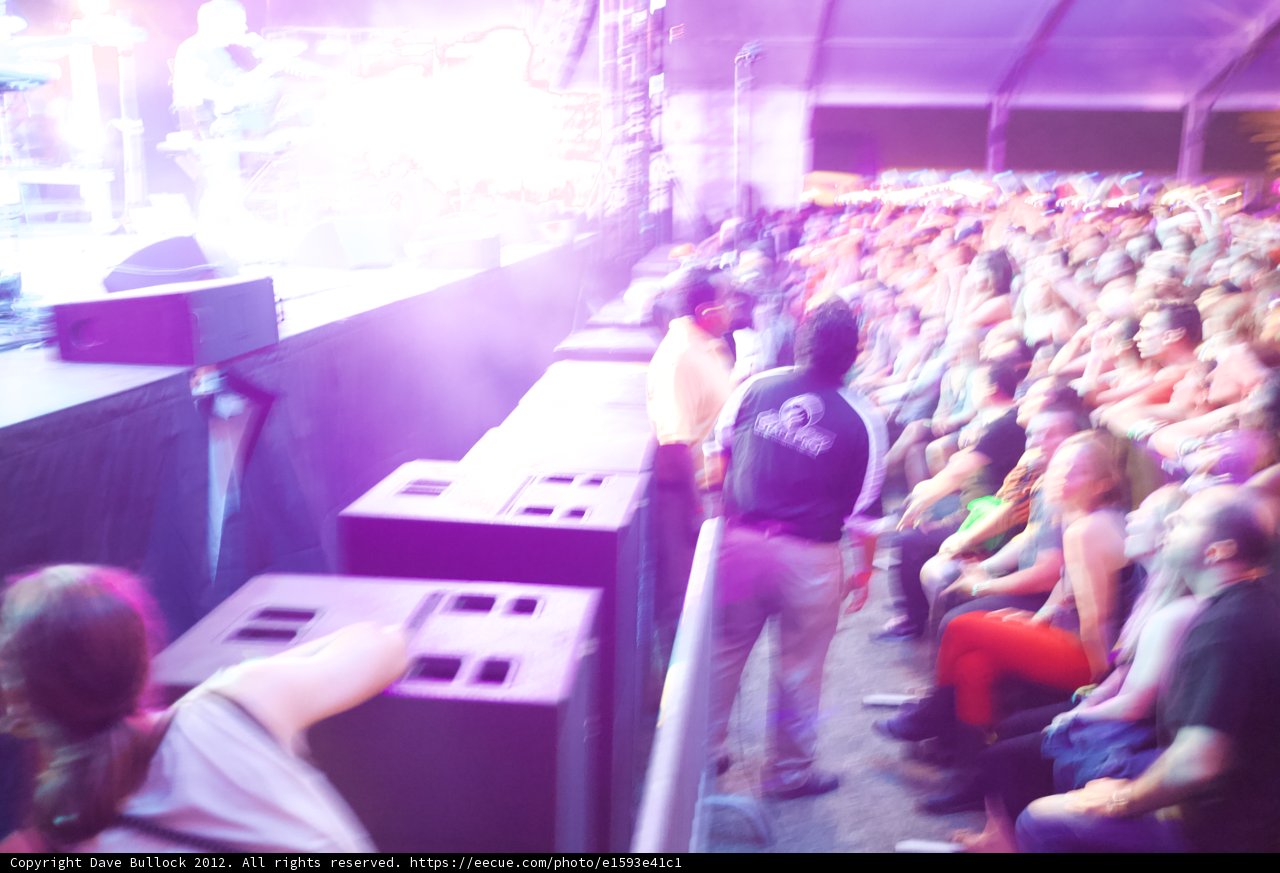 Coachella's Electric Crowd