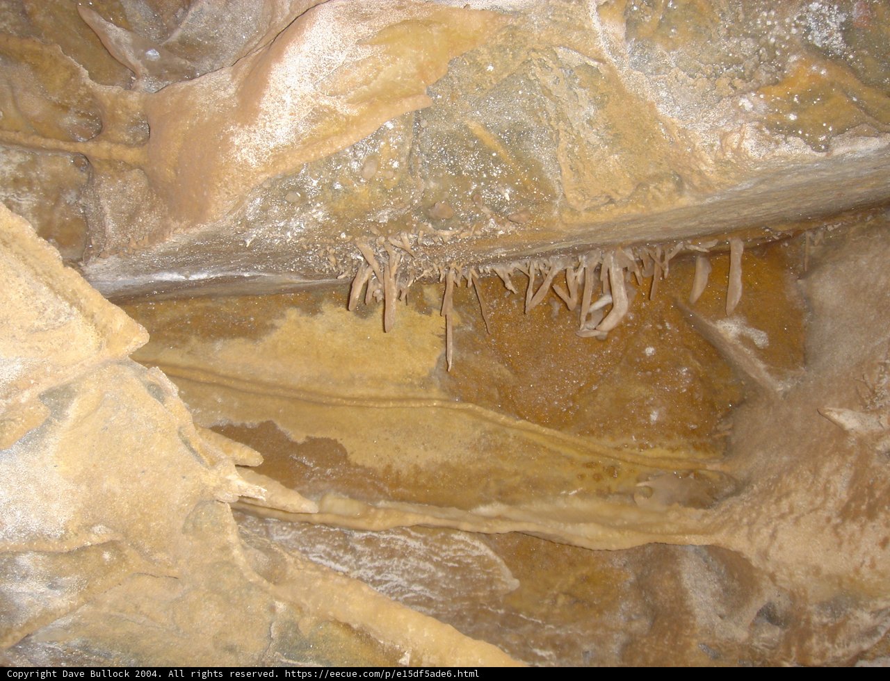 A Natural Wonder