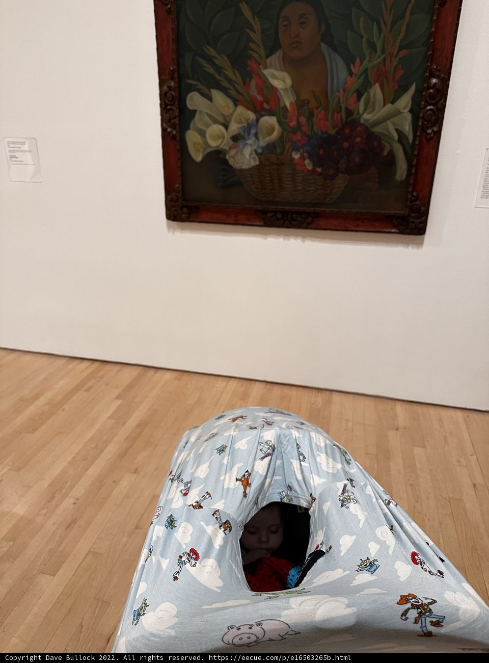 Wesley Explores the Art World