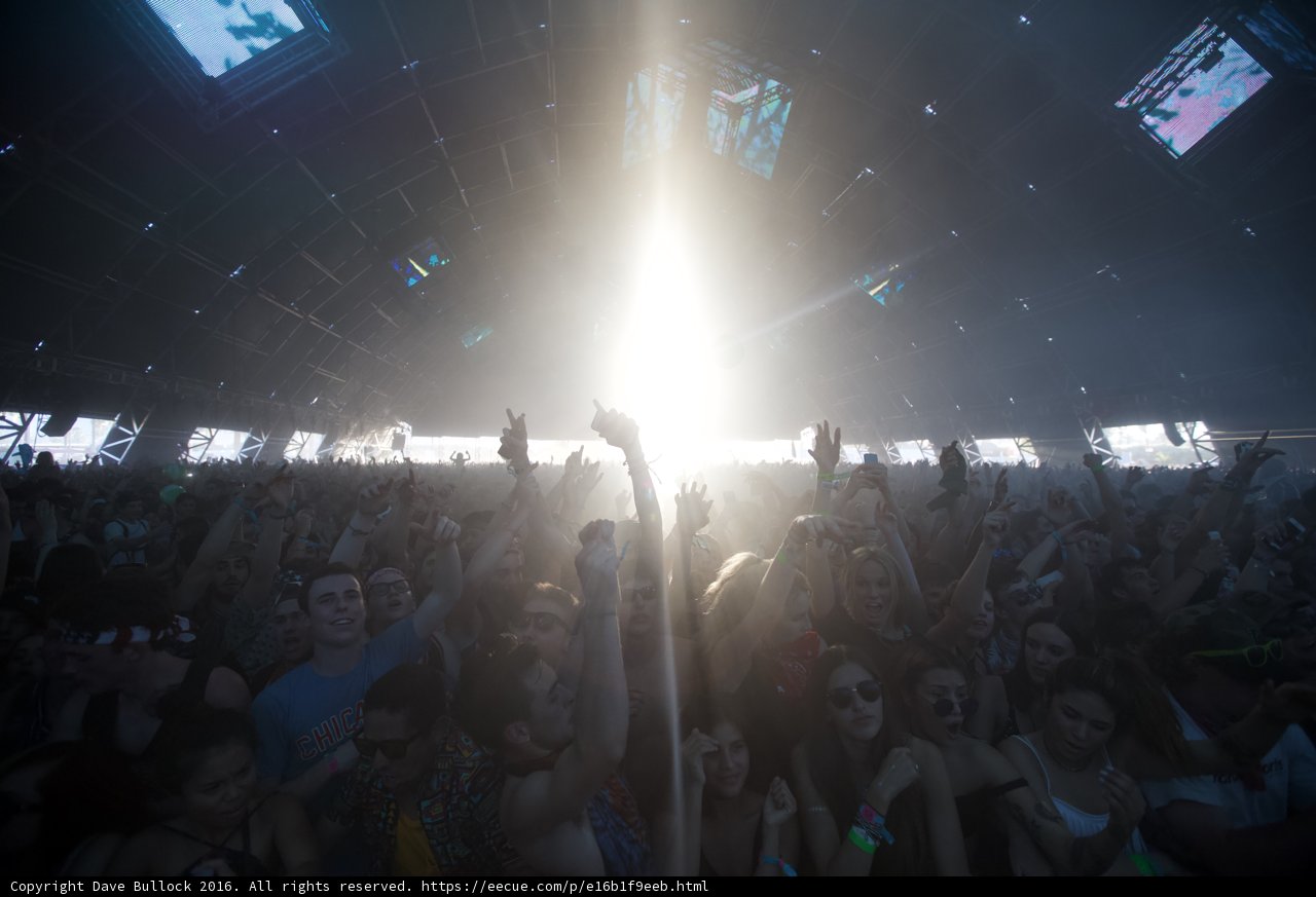 Hands Up for the Music at Coachella 2016