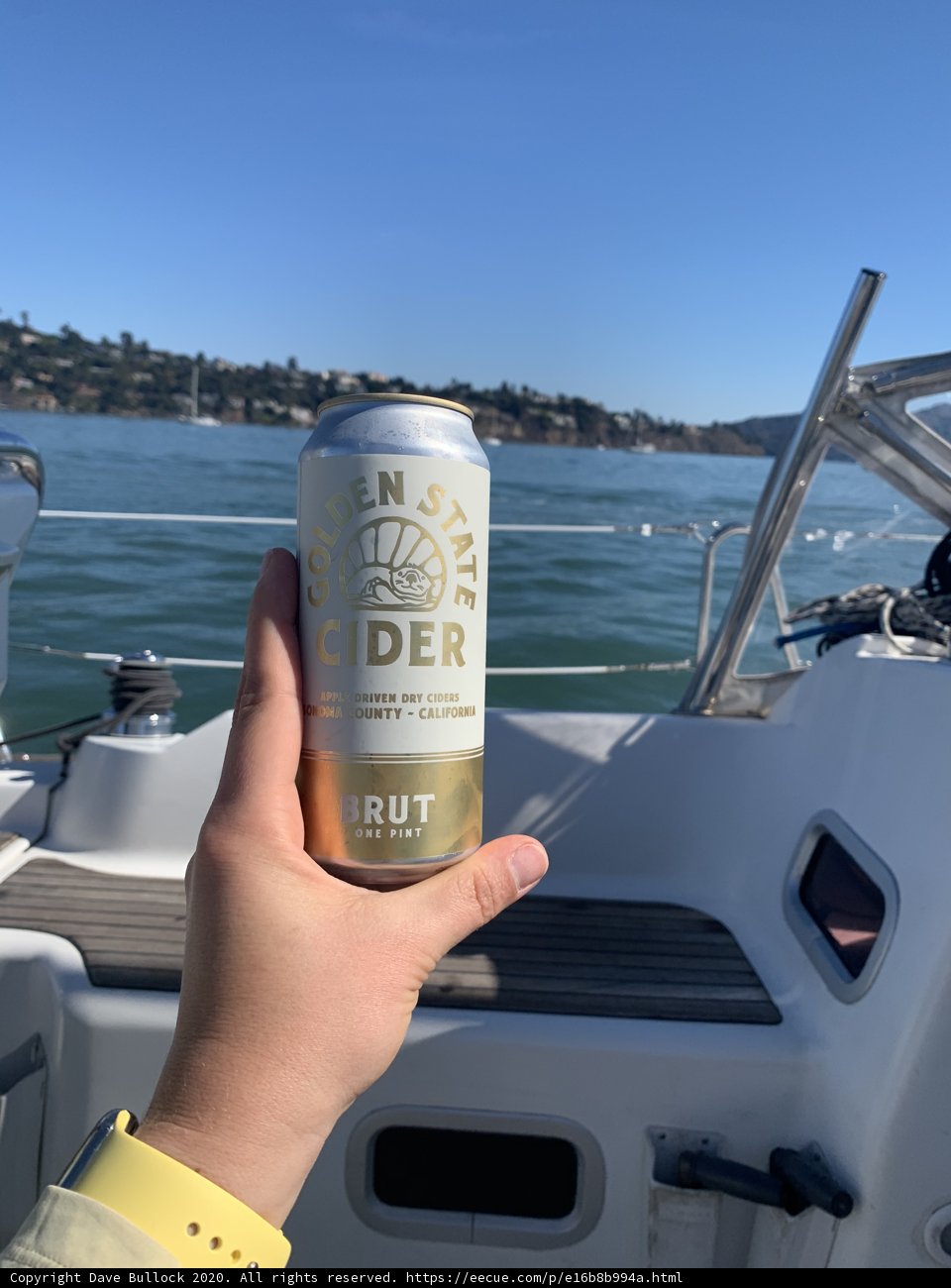 A Day on the Bay