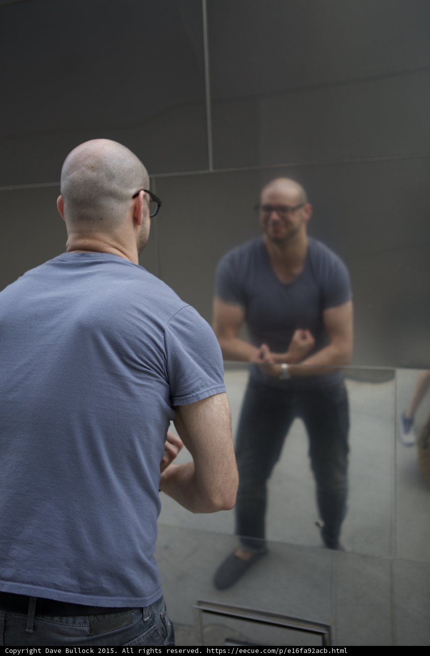 Facing the Mirror