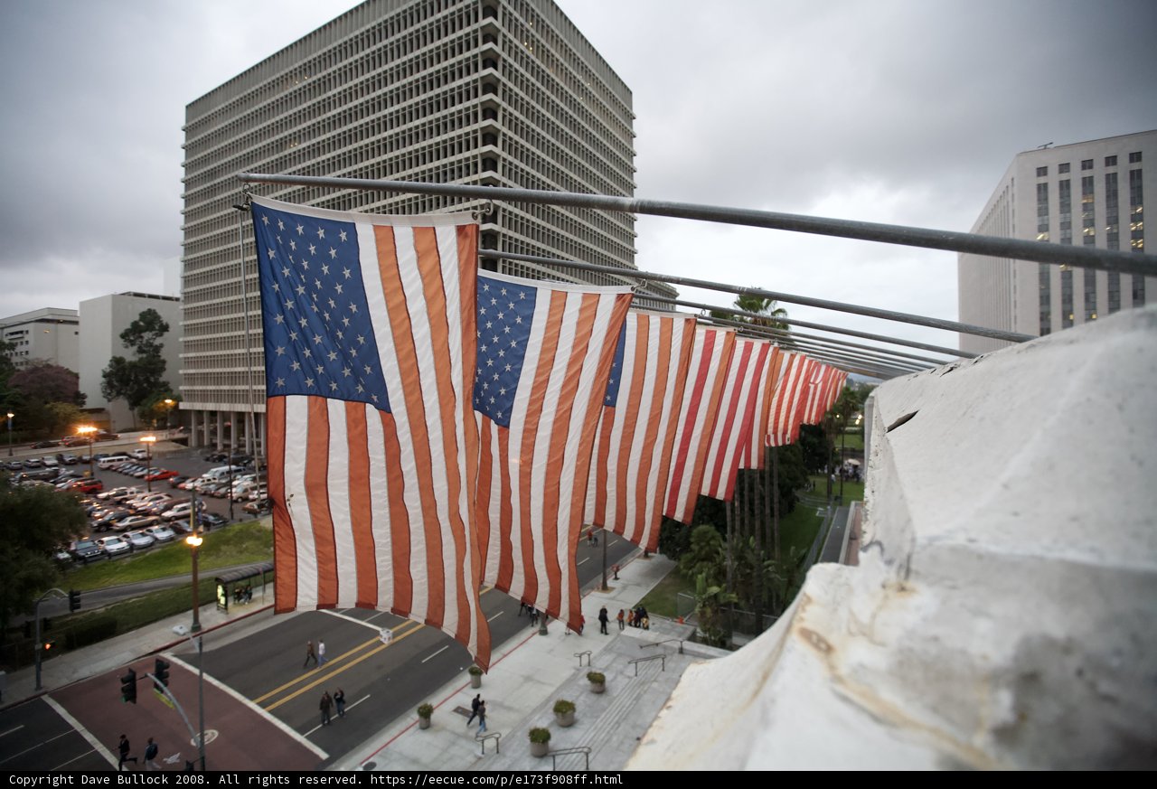 Flags flying high in the Metropolis