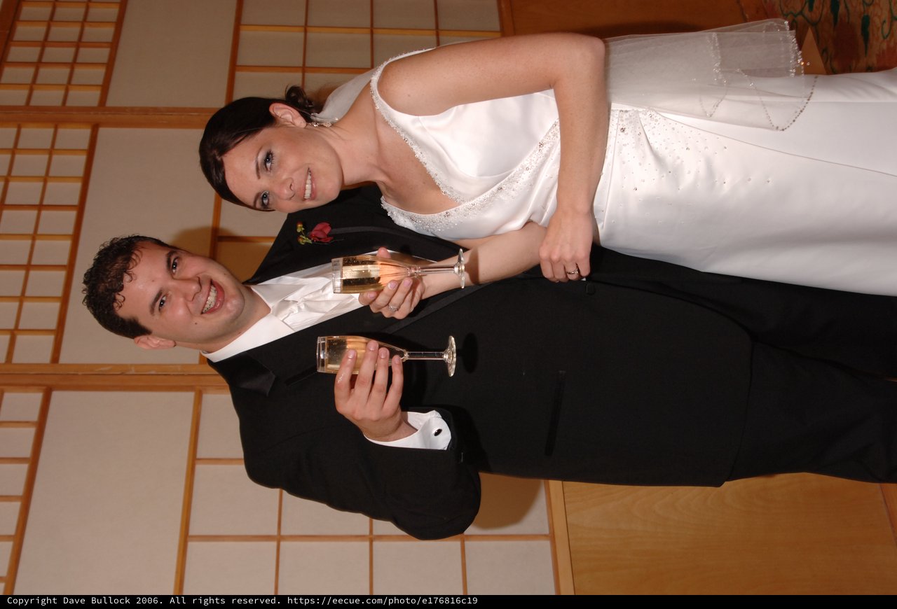Newlyweds Toast with Champagne at Wedding Reception