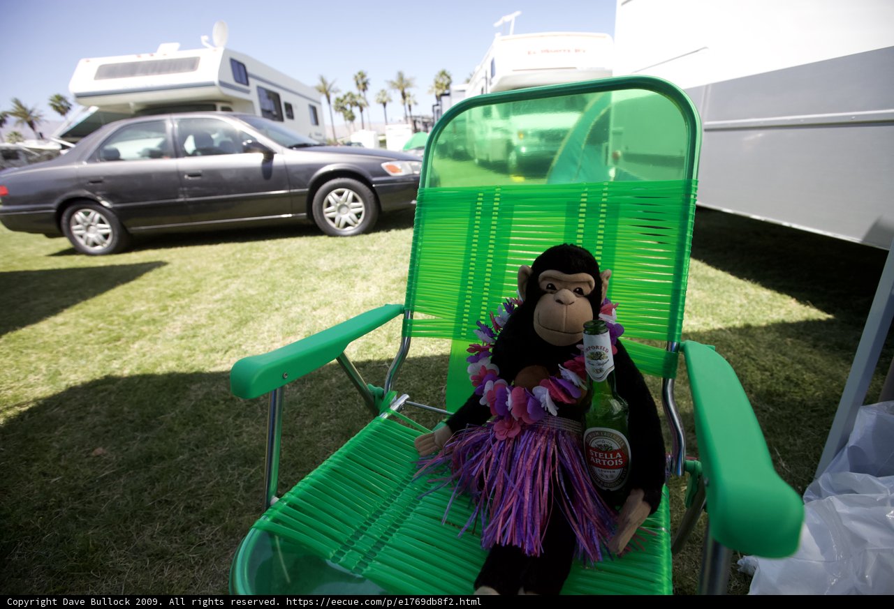 Monkeying Around in the Parking Lot