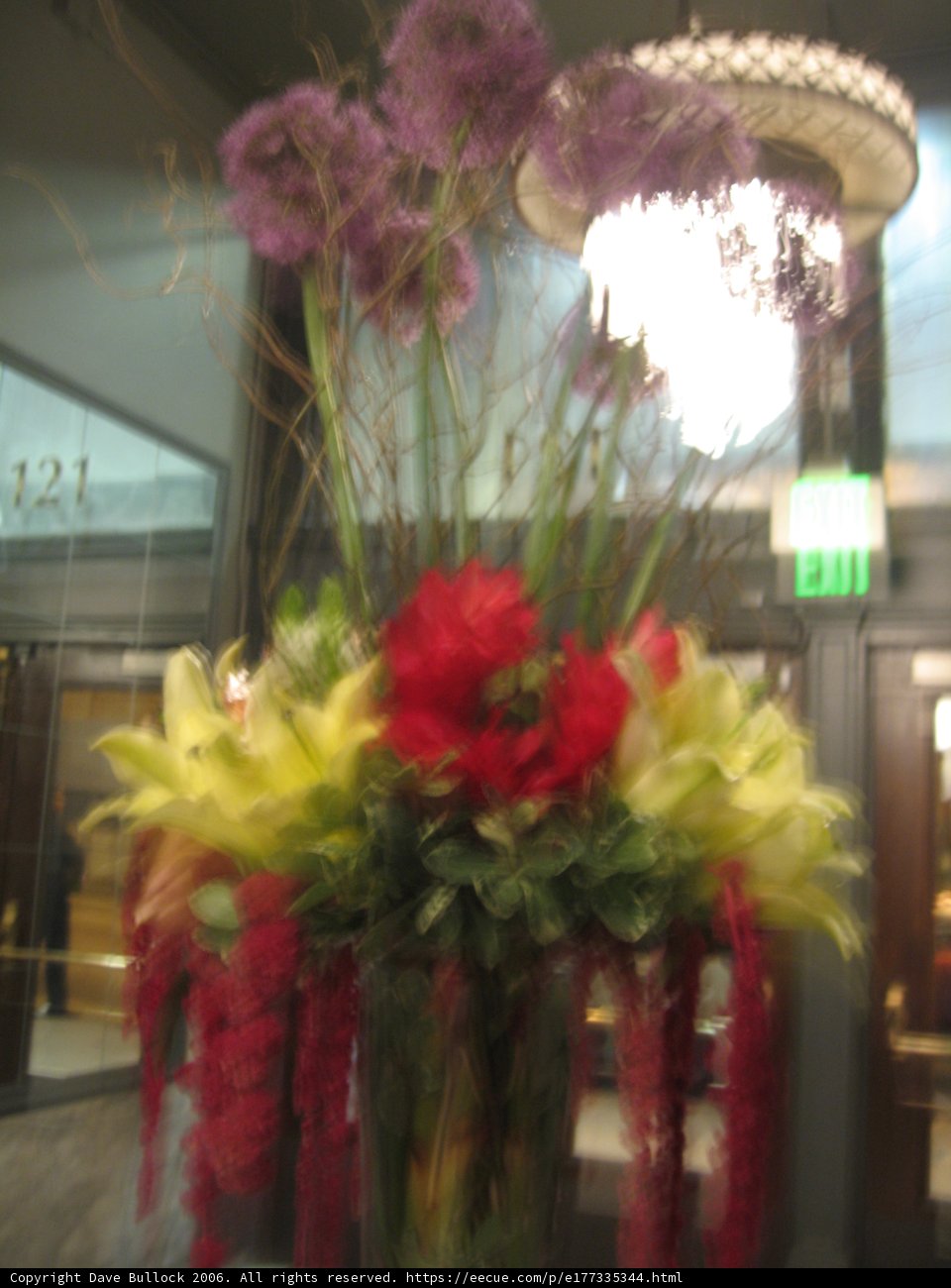 Floral Delight