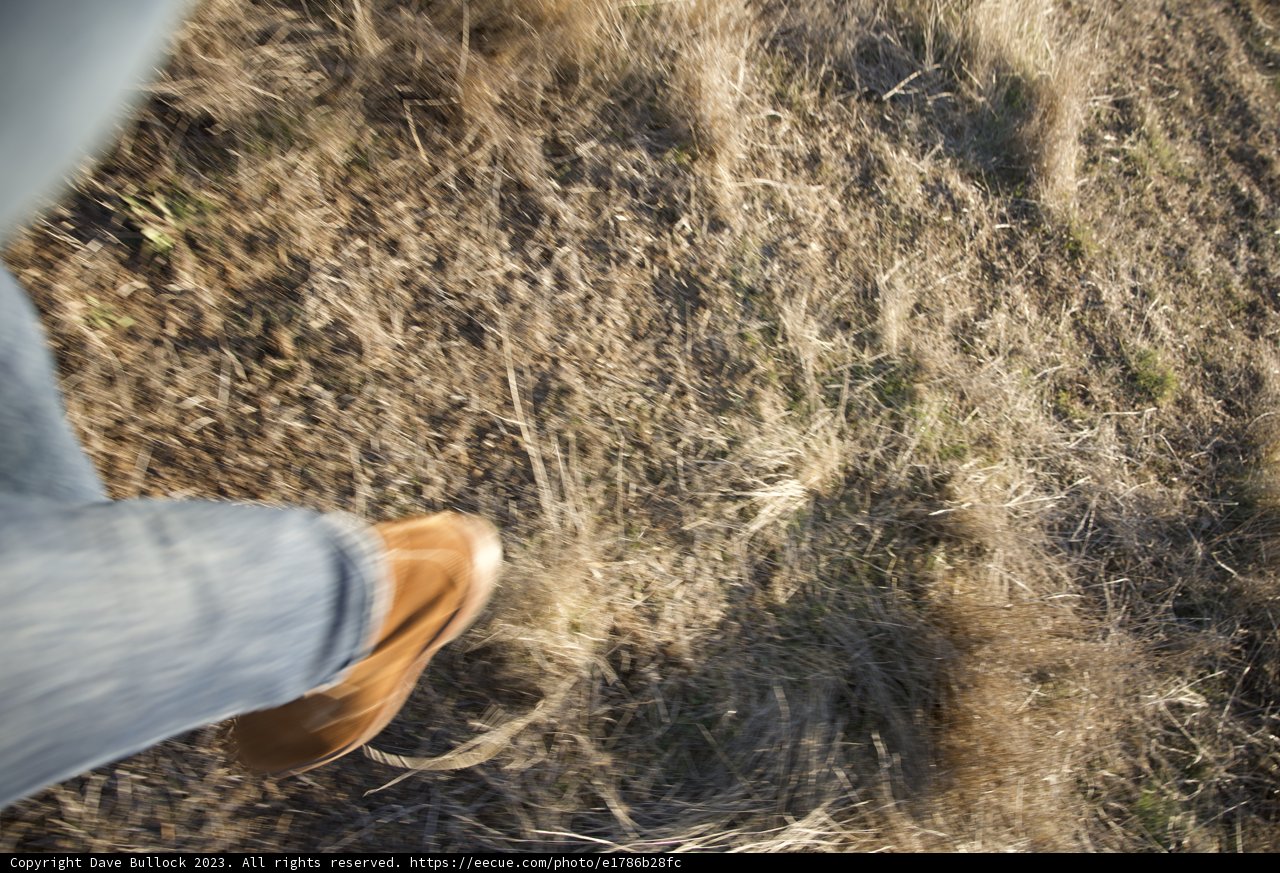 A Stroll in the Splendor of Nature