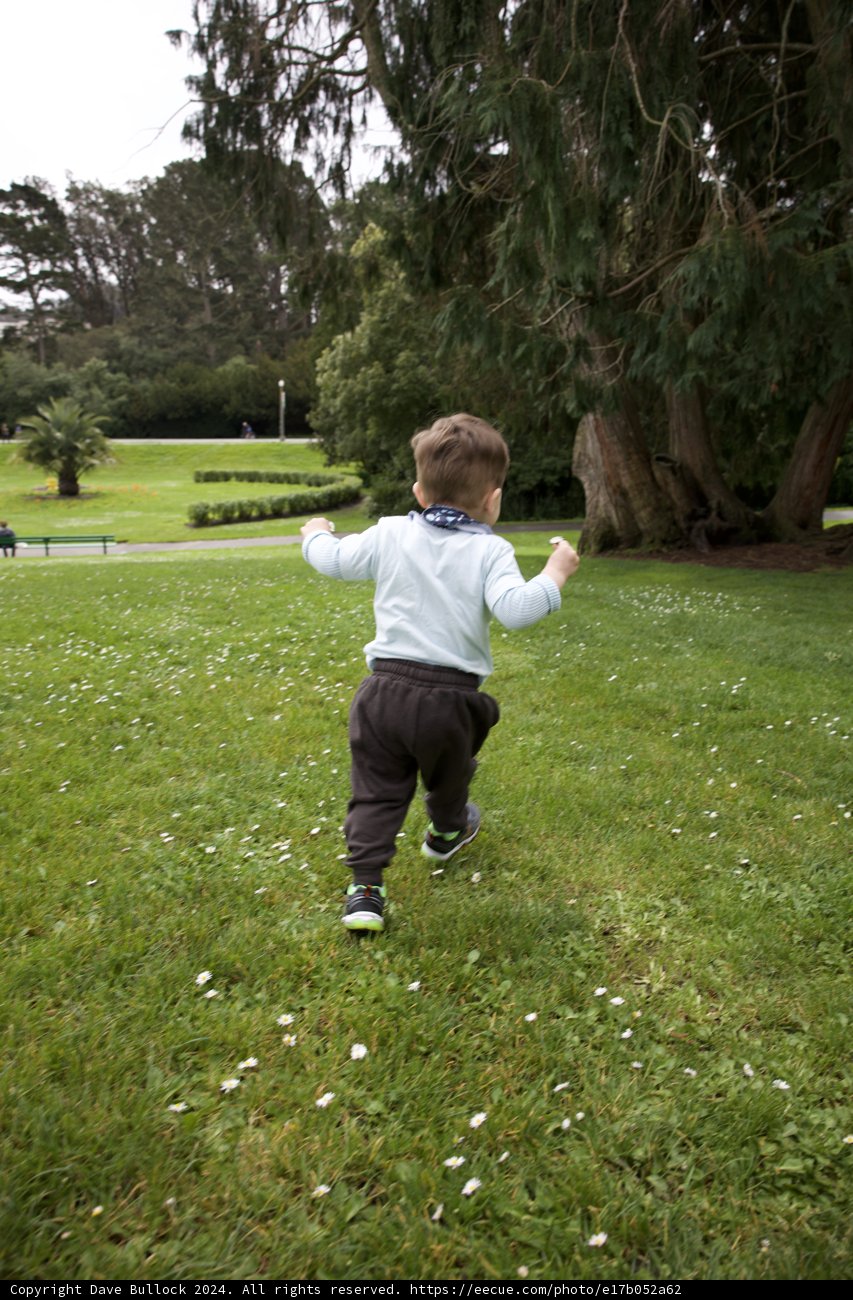 Sprightly Spirit of Youth: Golden Gate Park Frolic