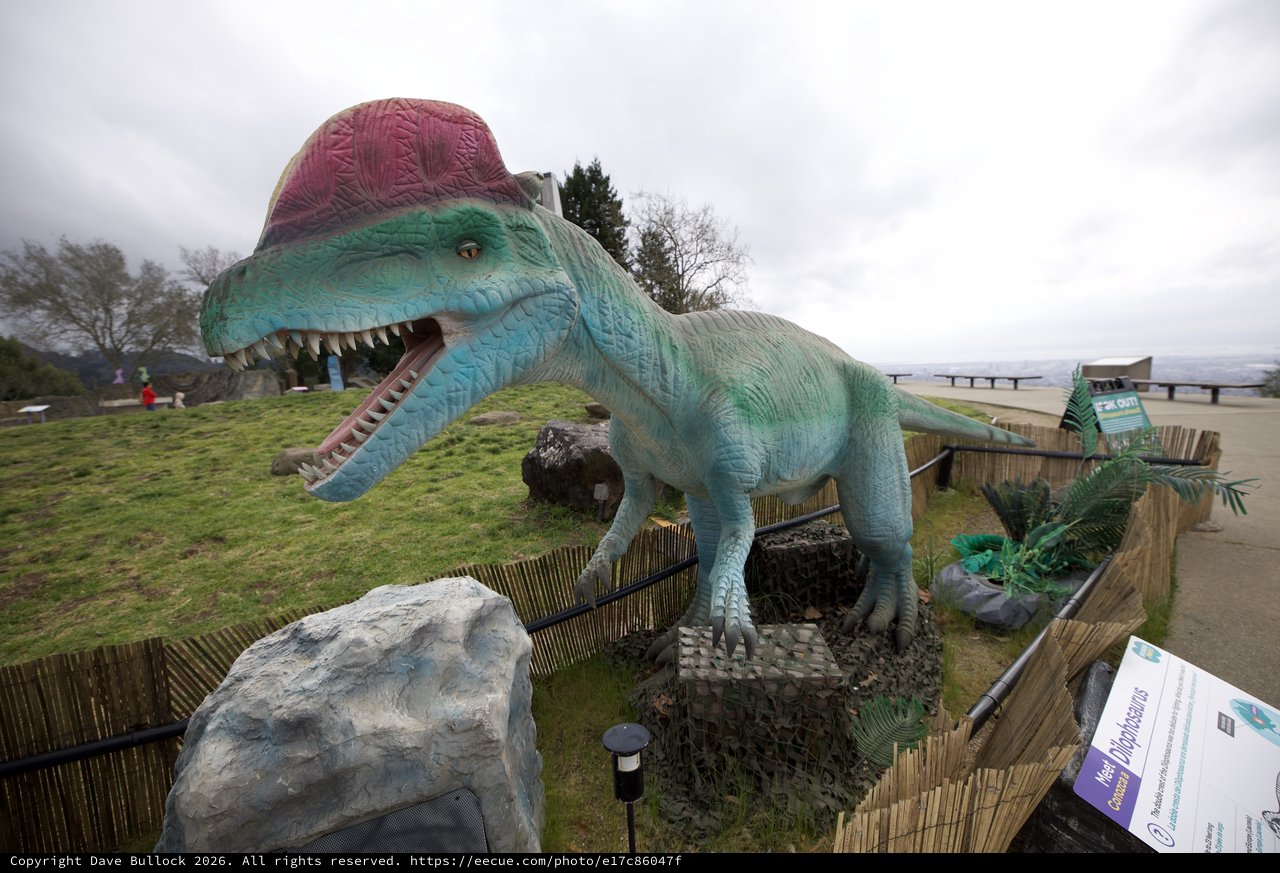 Turquoise Spinosaurus Dinosaur Statue at Outdoor Park