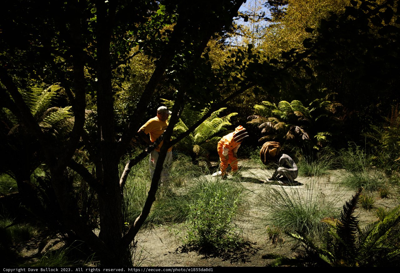 Invigorating Jungle Adventure at de Young Museum, 2023