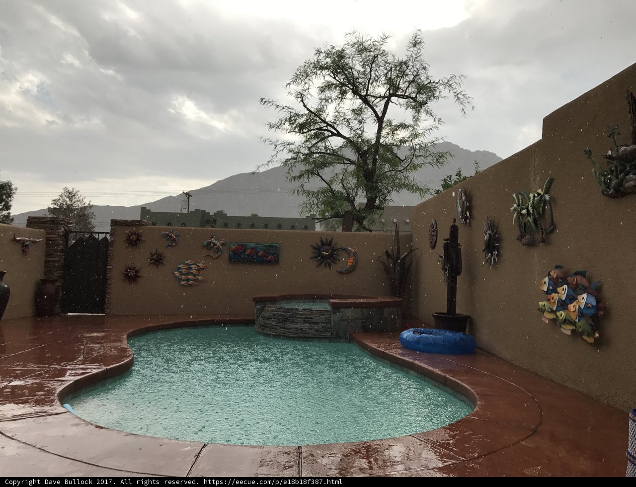 Backyard Resort Paradise