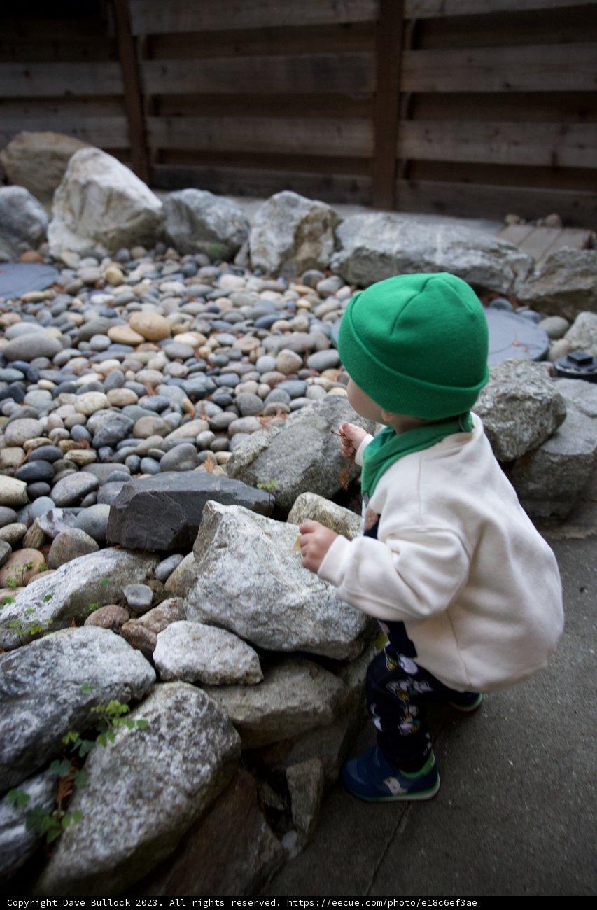 Adventurous Afternoon: Exploring Big Sur