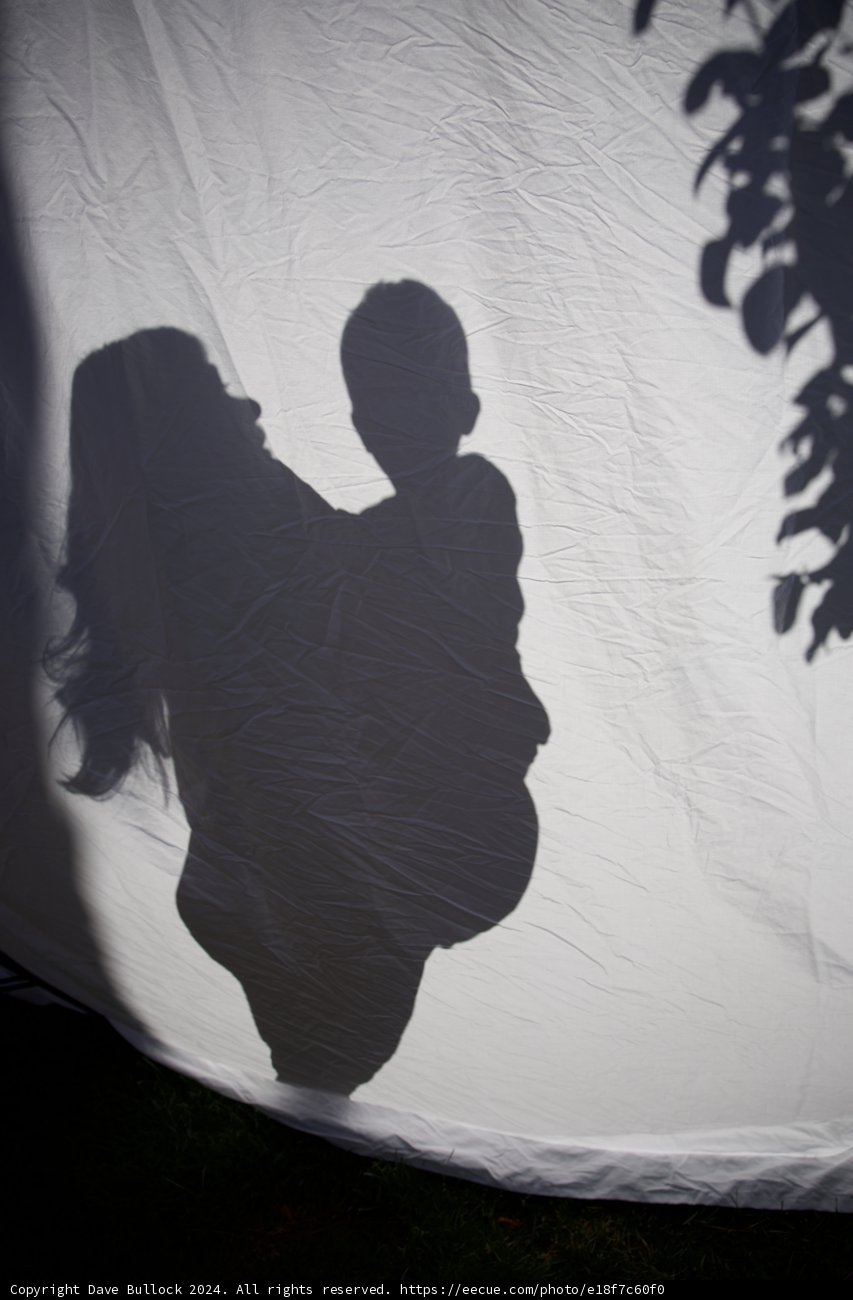 Shadows of Expectation