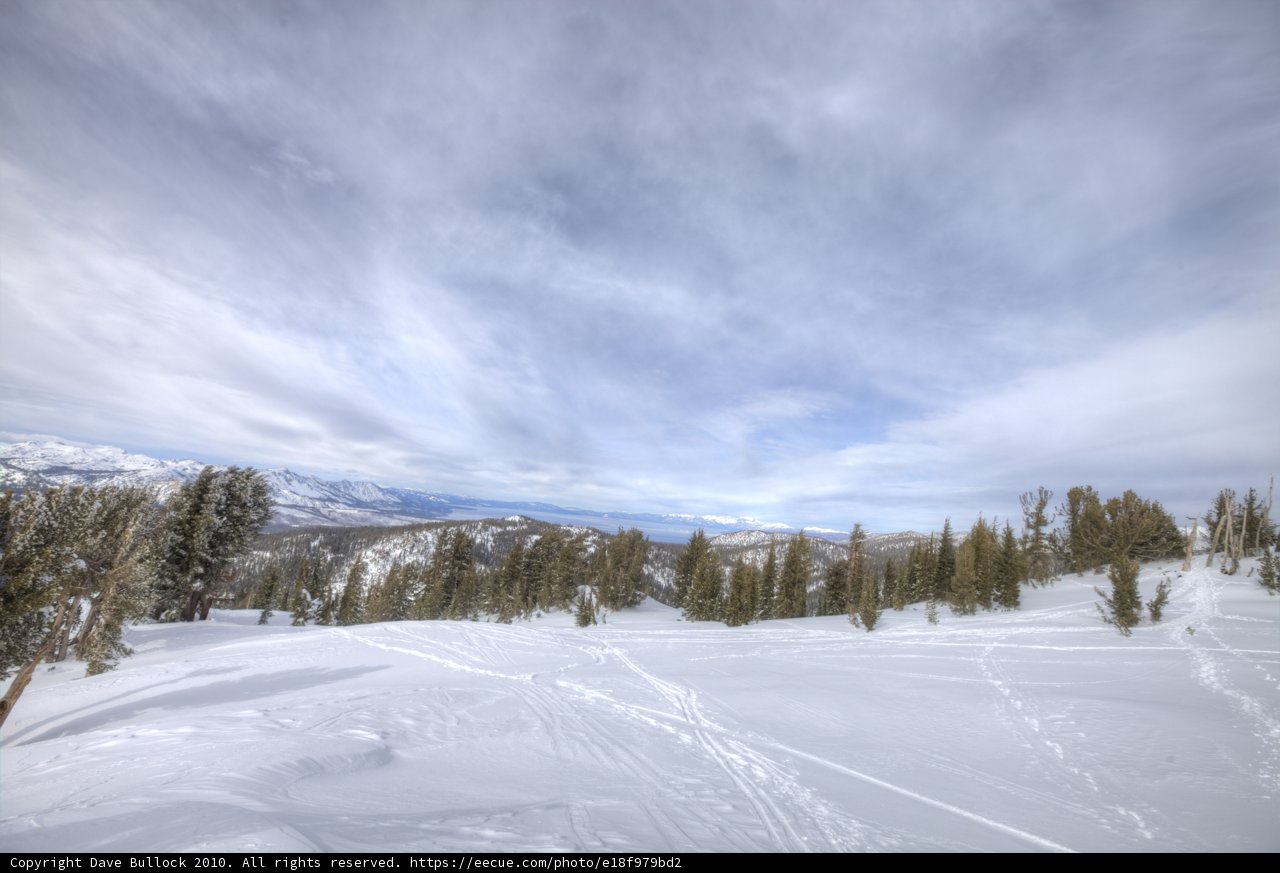 Frozen Majesty