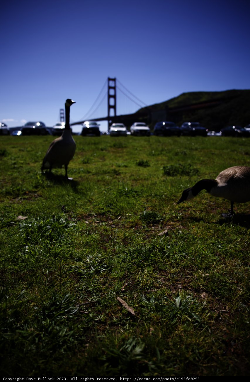 A Stroll Through the Marin Headlands