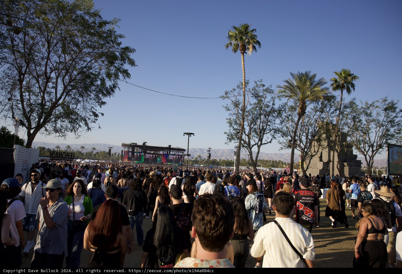Sunny Afternoon at Coachella 2024