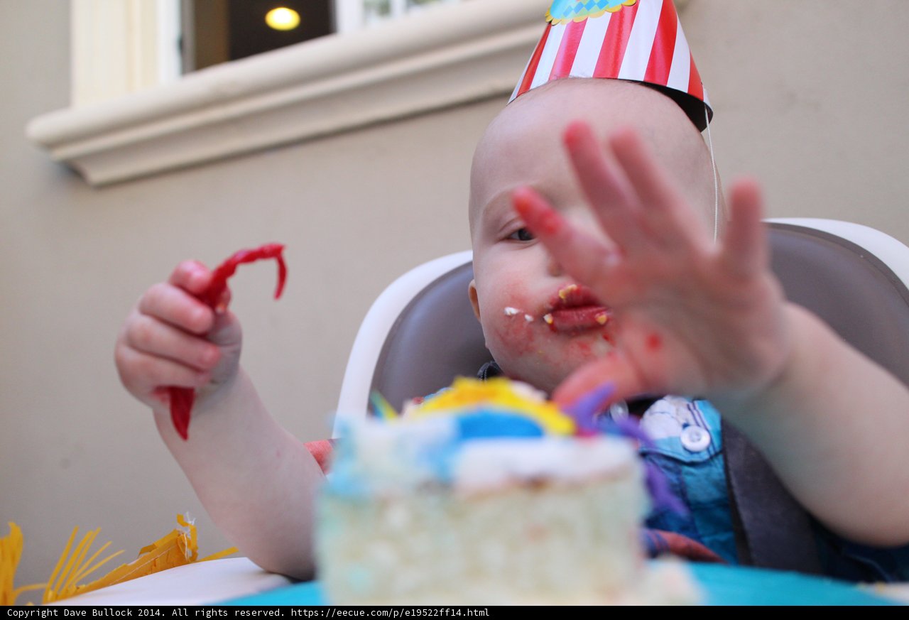 First Birthday Bliss