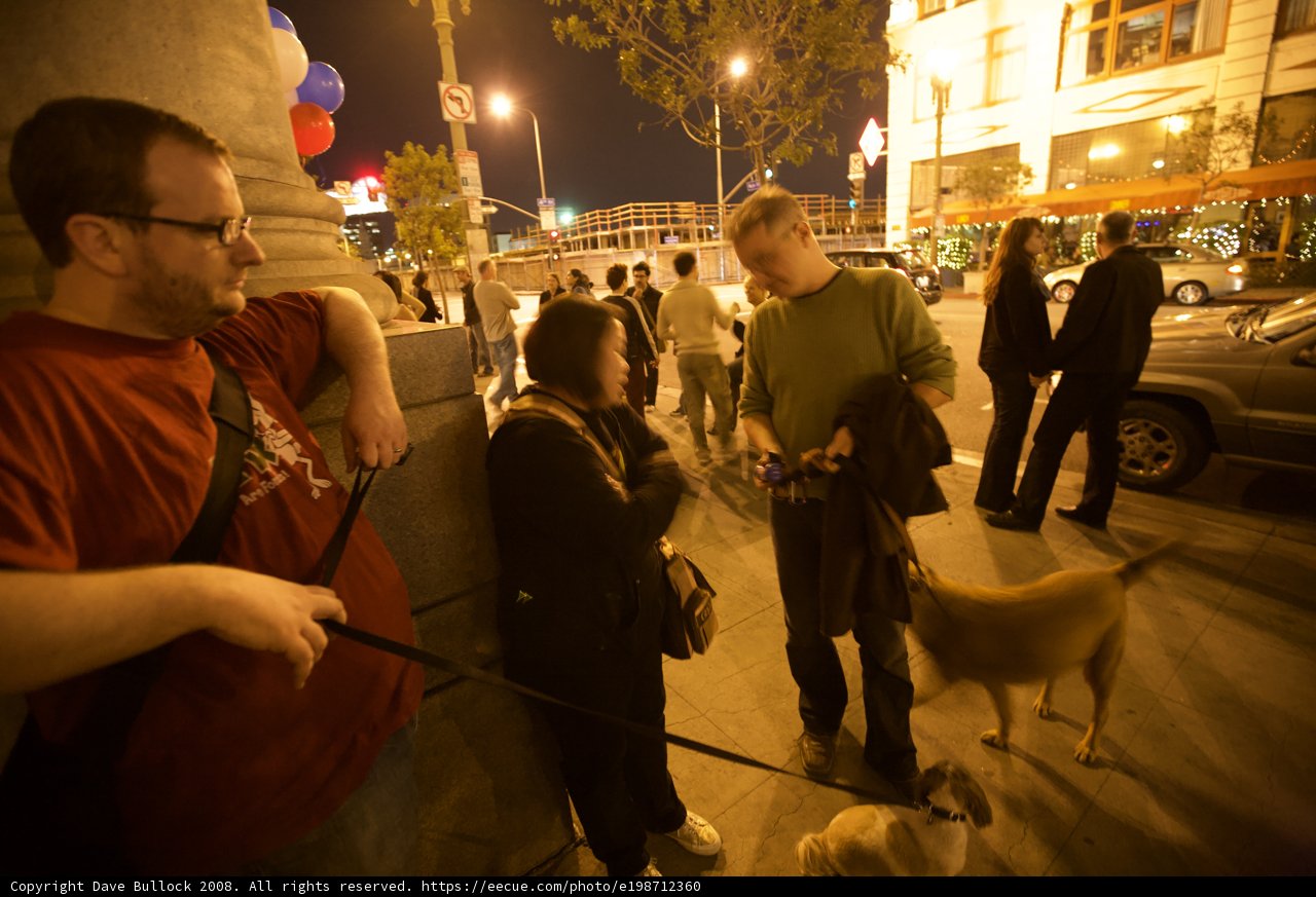 Election Night Dog Walk