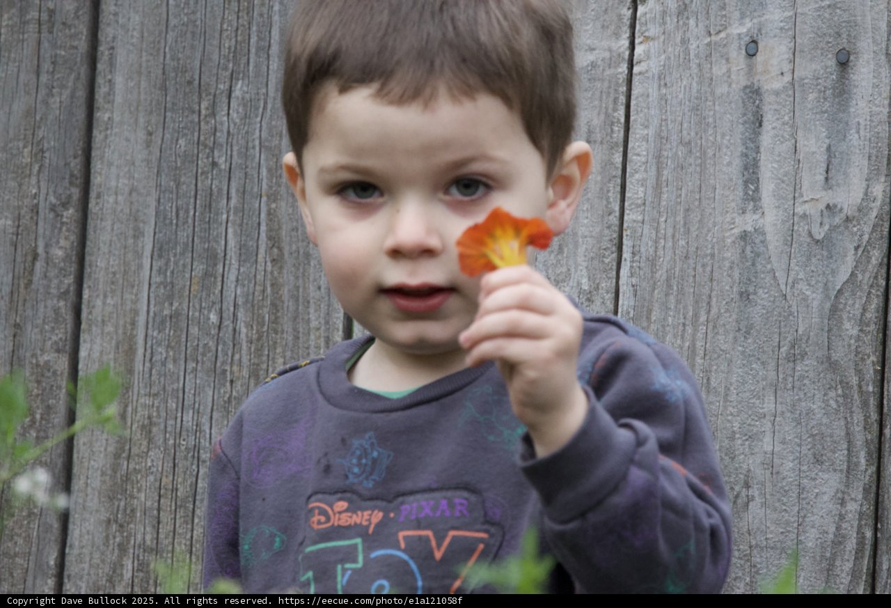 Spring Discovery
