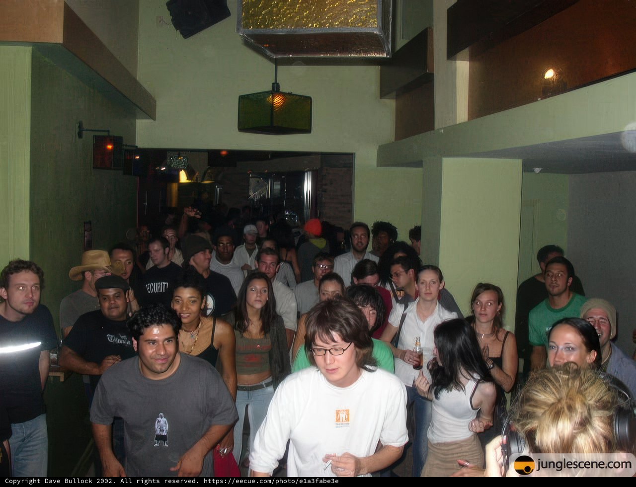 Nightclub Crowd