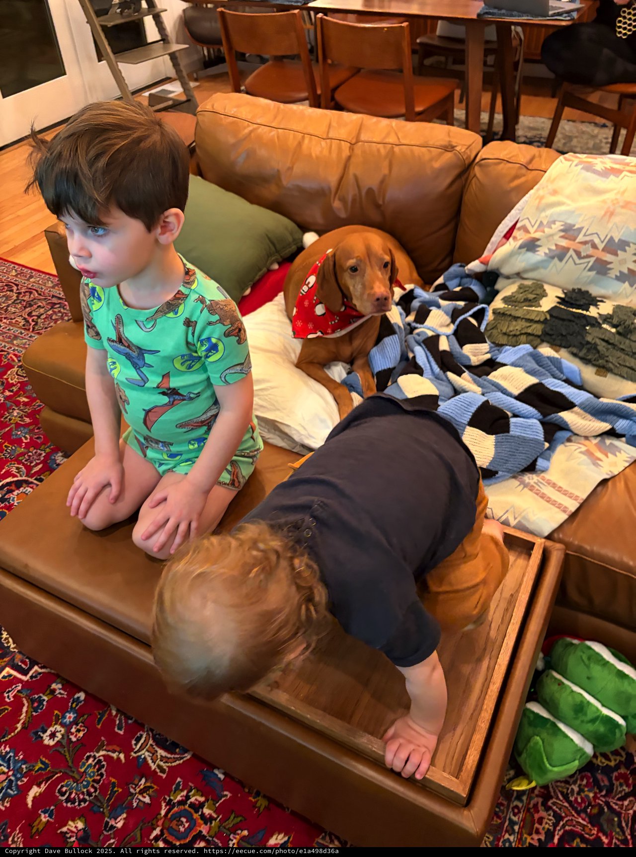 Children and Dog Enjoying Cozy Living Room Moment