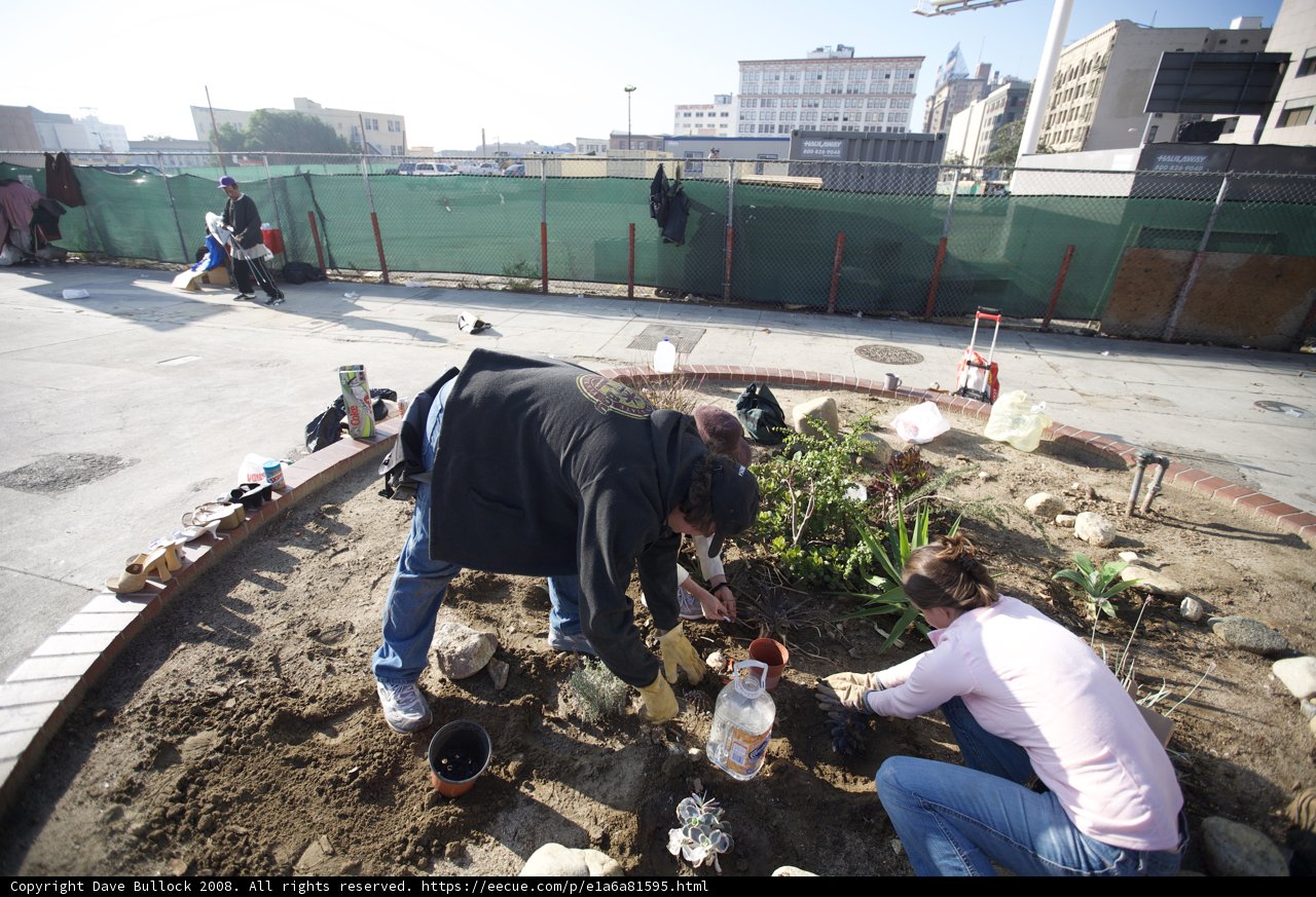Guerrilla Gardeners Planting Colorful Flowers