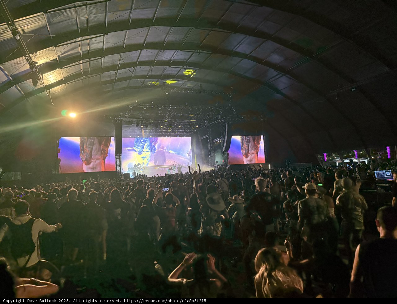Electric Night Under the Stars