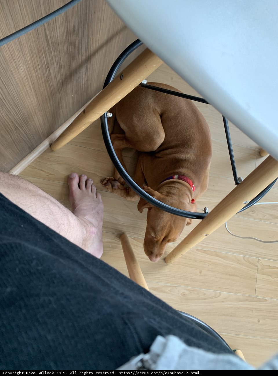 Comfy Spot