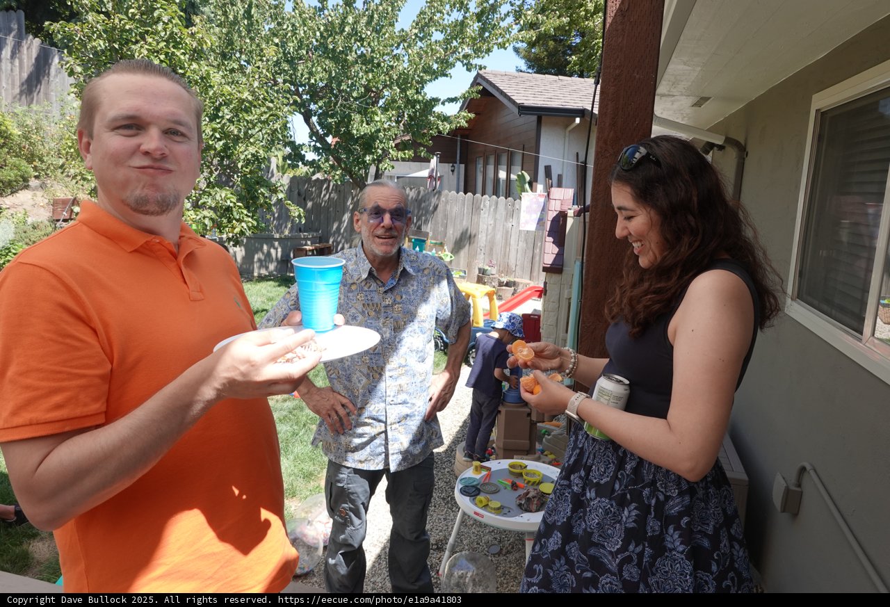 Backyard BBQ Bliss