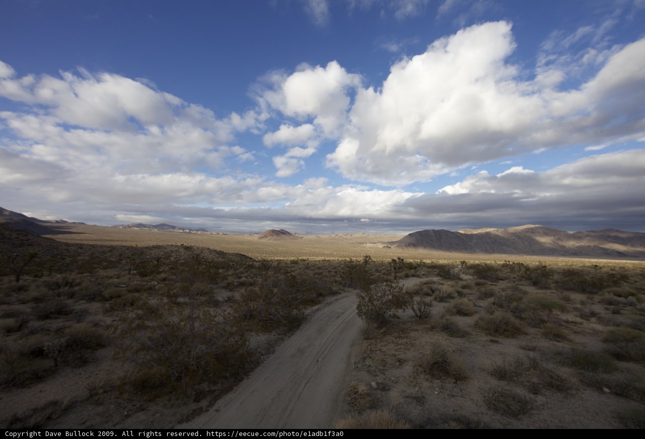 Journey through the Desert