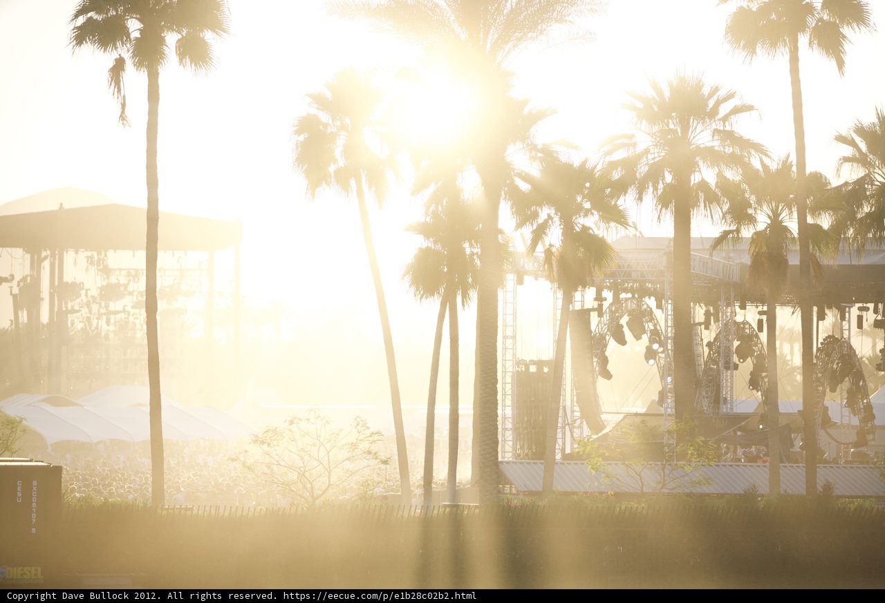Sunlit Serenade