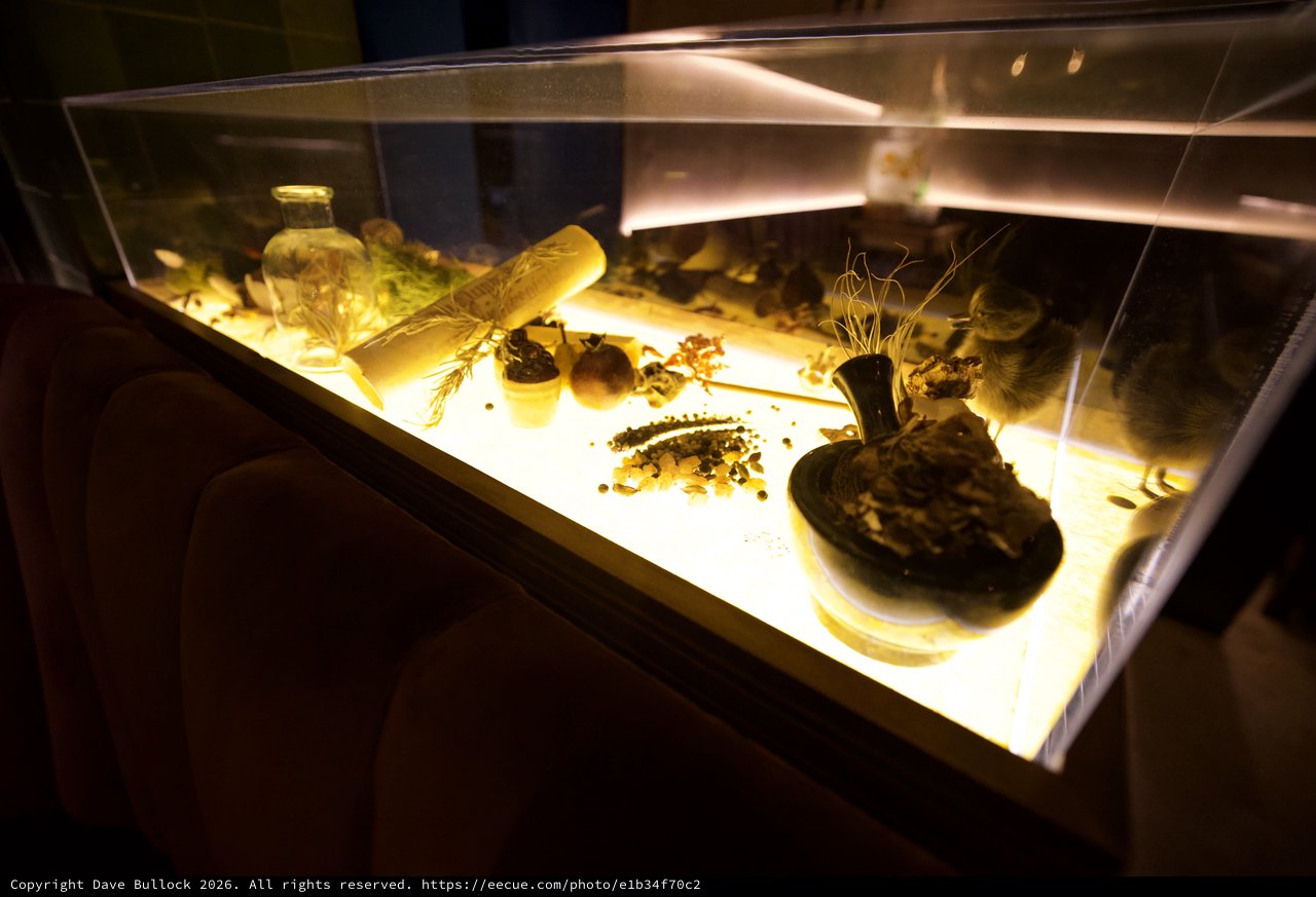 Museum Display Case of Natural History Specimens