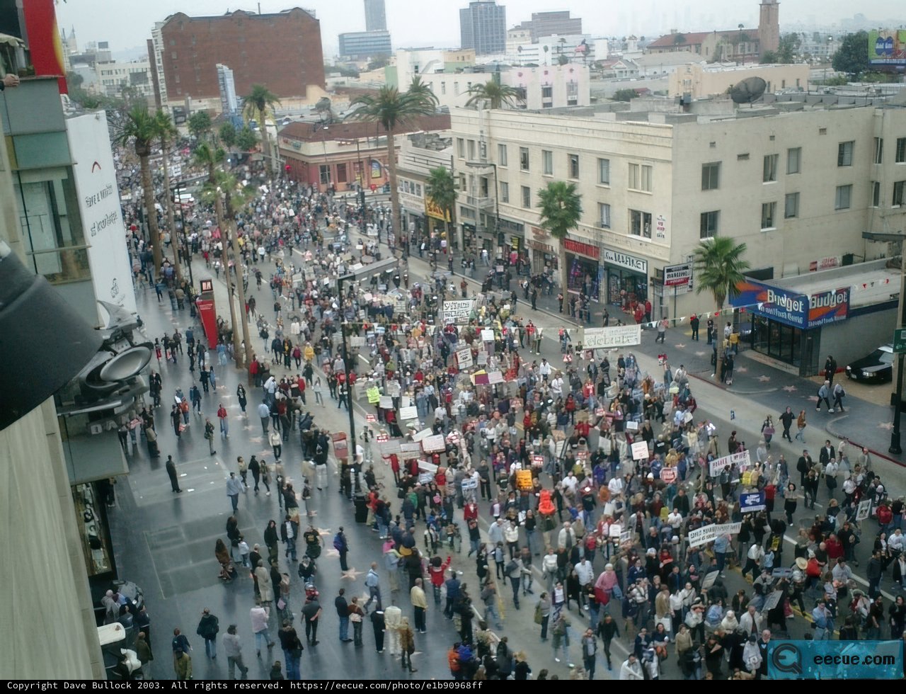 Protest in Downtown Metropolis