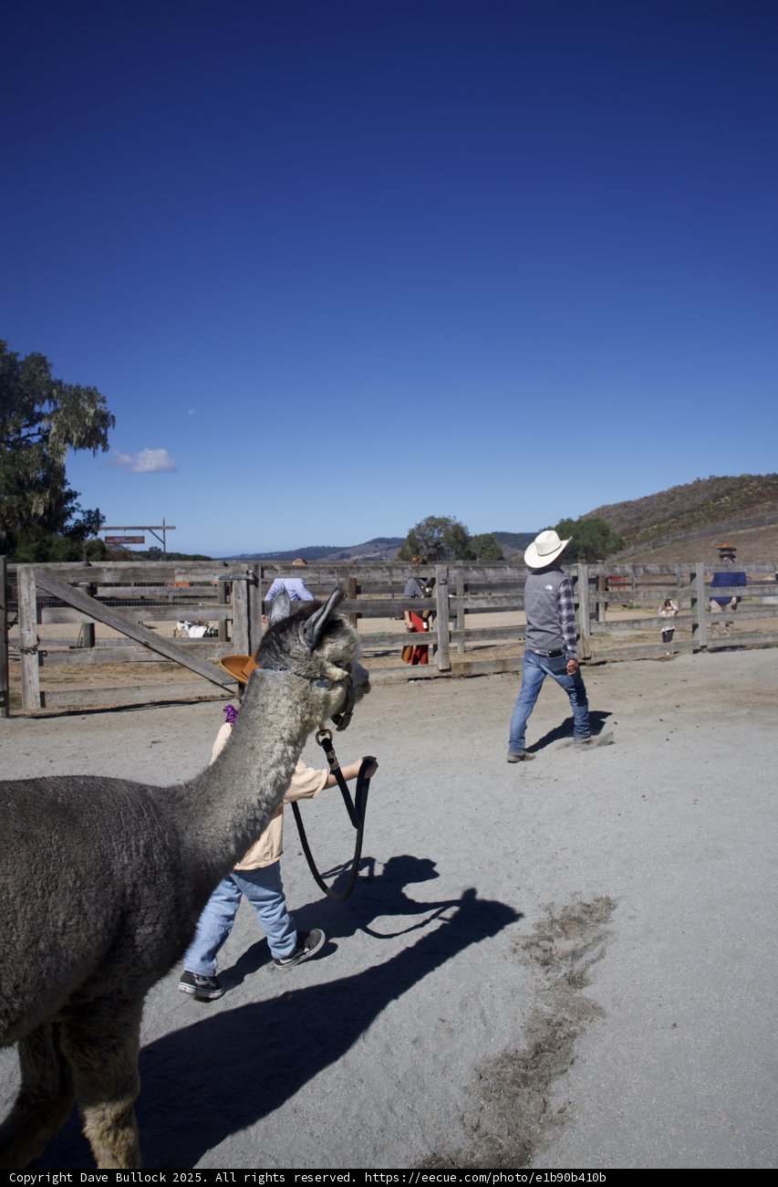 Strolling with Friends at Carmel Valley Ranch