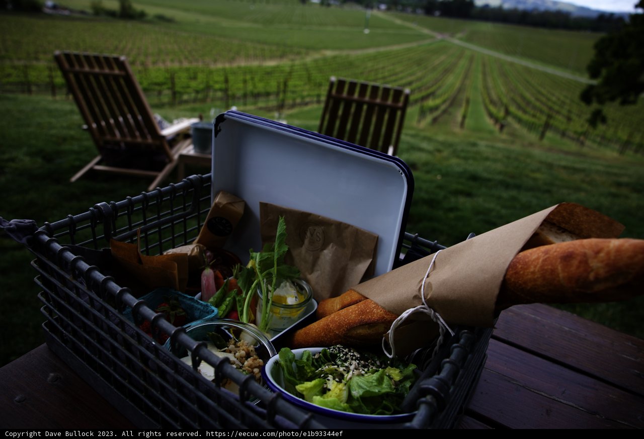 Scenic Vineyard Picnic at Scribe