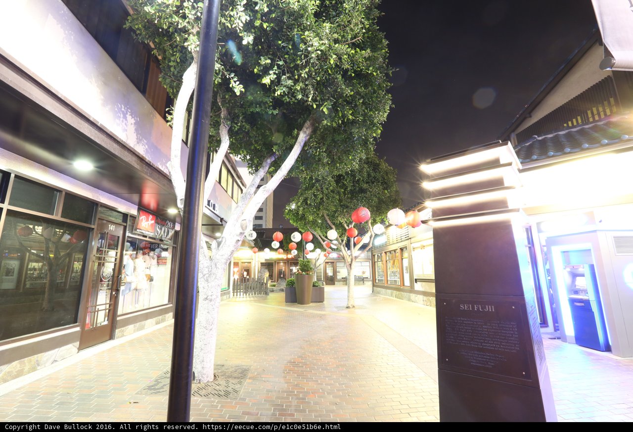 Tree-Lined Street