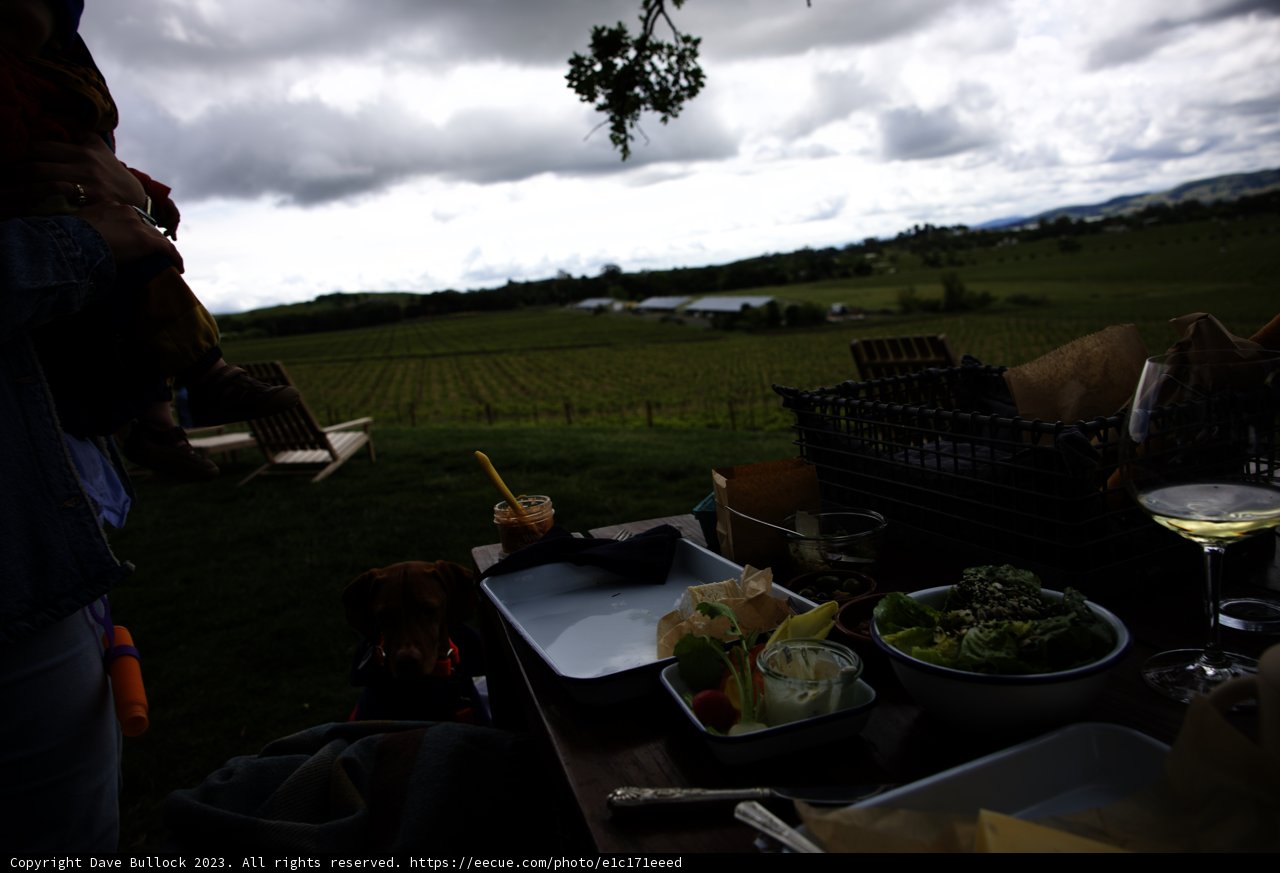 Delightful Countryside Picnic in Sonoma