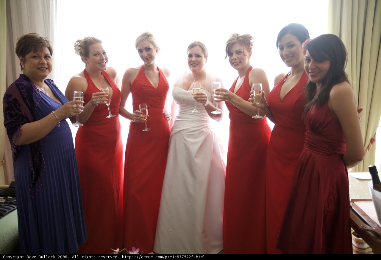 Red Dress Brigade