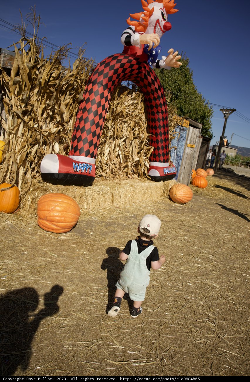 Pumpkin Patch Prance: Wesley meets the Big Friendly Clown