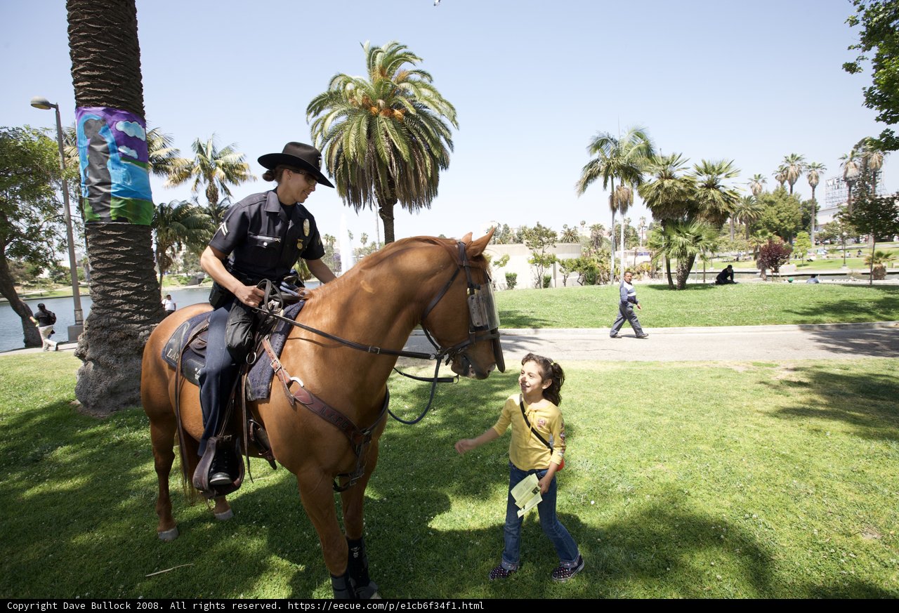 Horse-riding Police Officer on Patrol