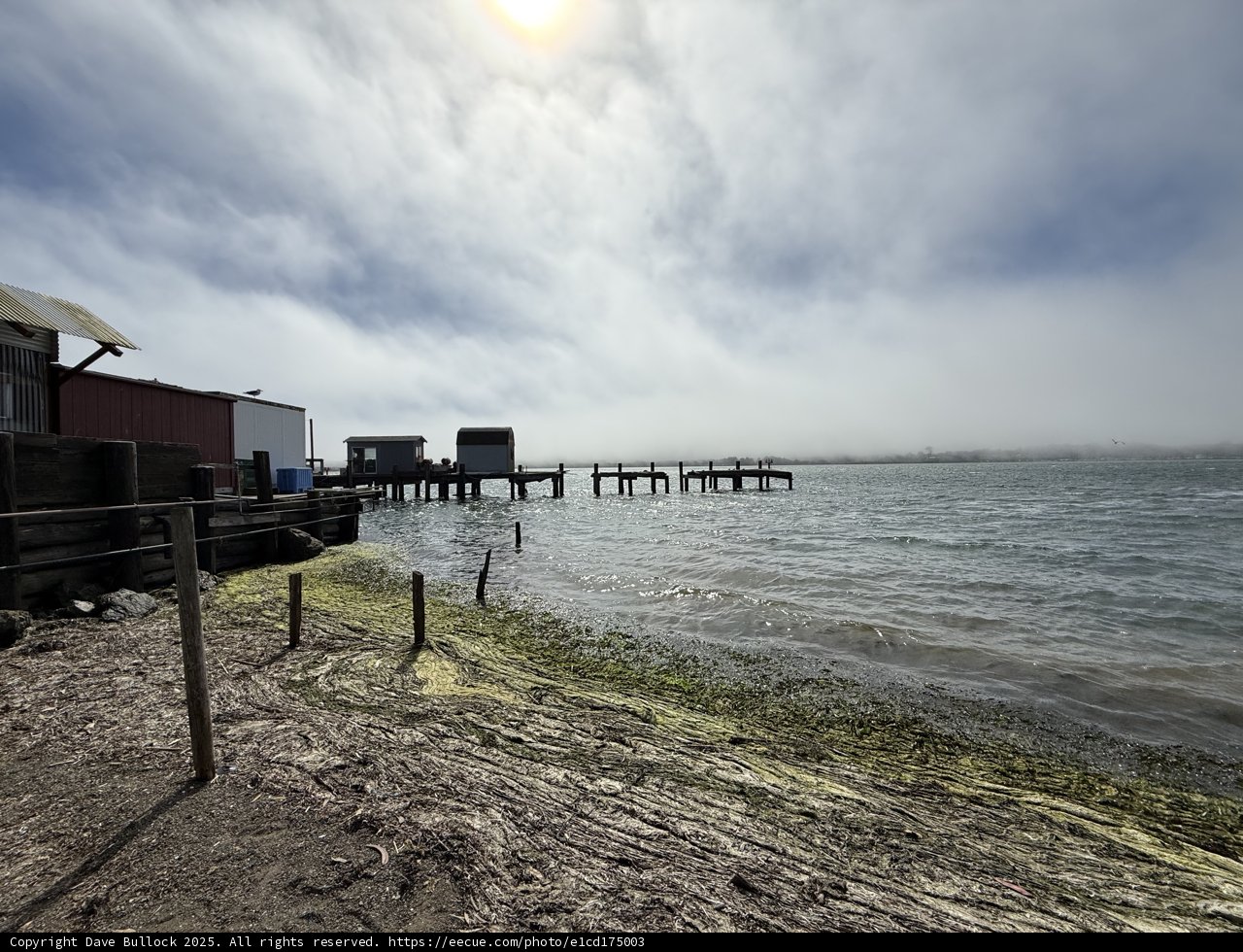 Tranquility at Bodega Bay