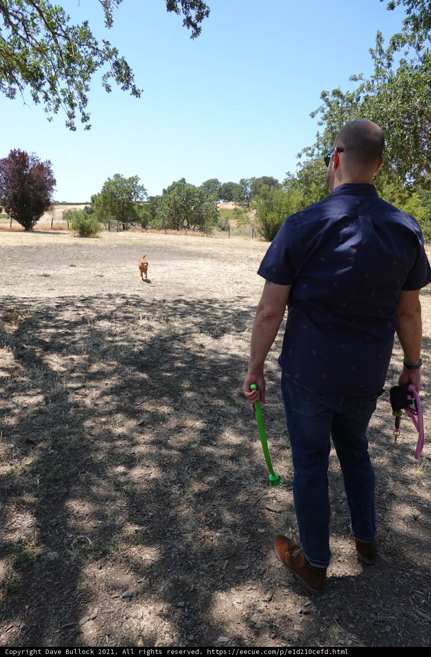 A Man and his Companions