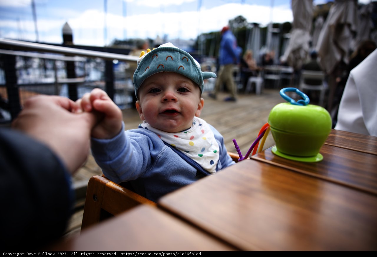 Apple of My Eye: Baby's Outdoor Adventure