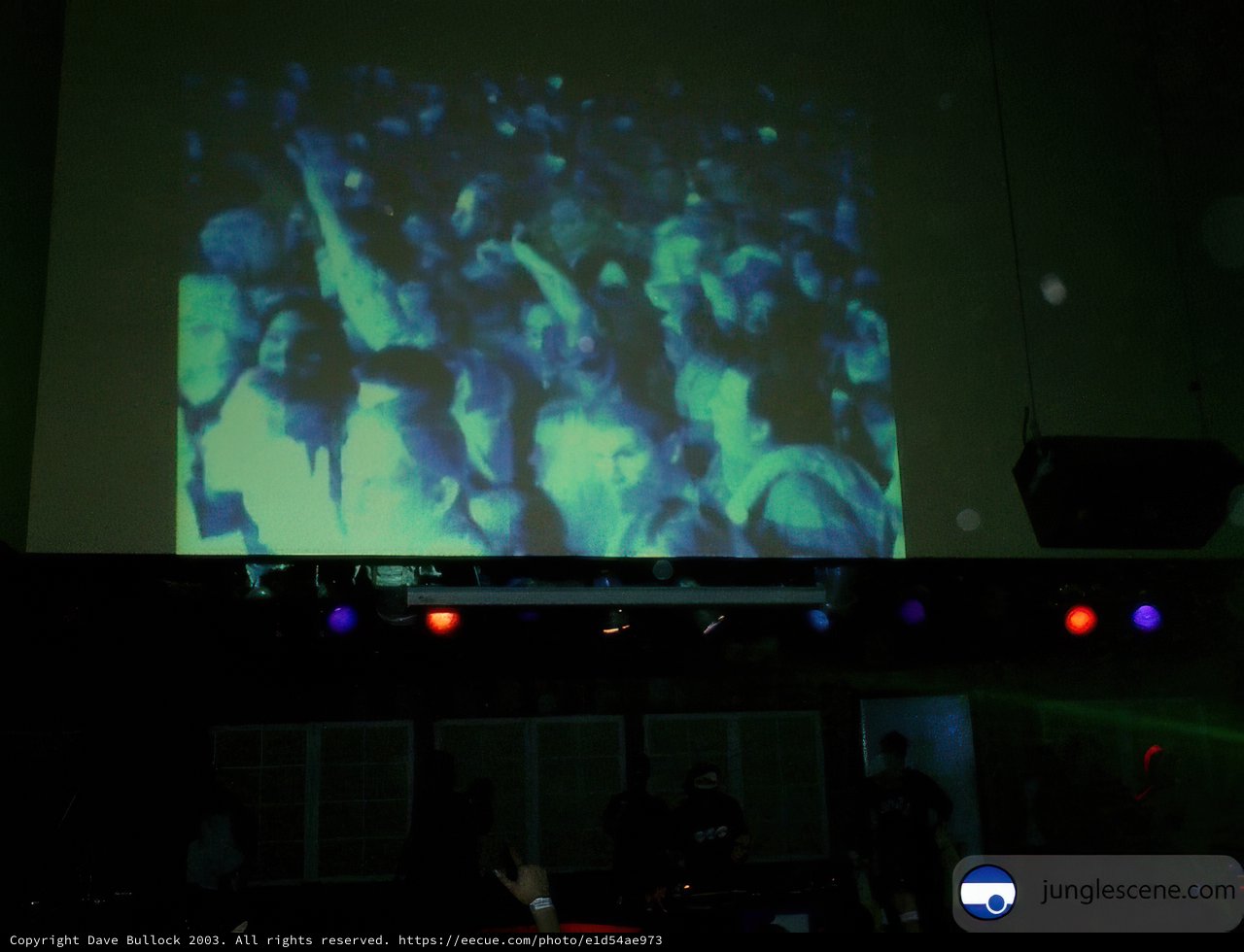 Cinema Excitement in the Crowd