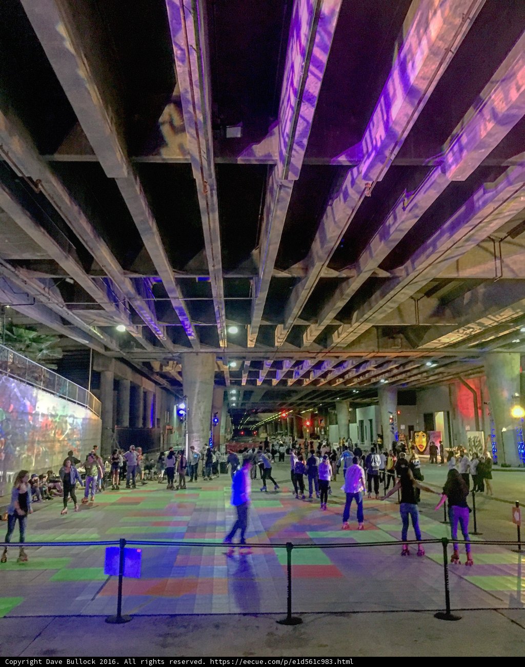 Night Skating under the City Lights