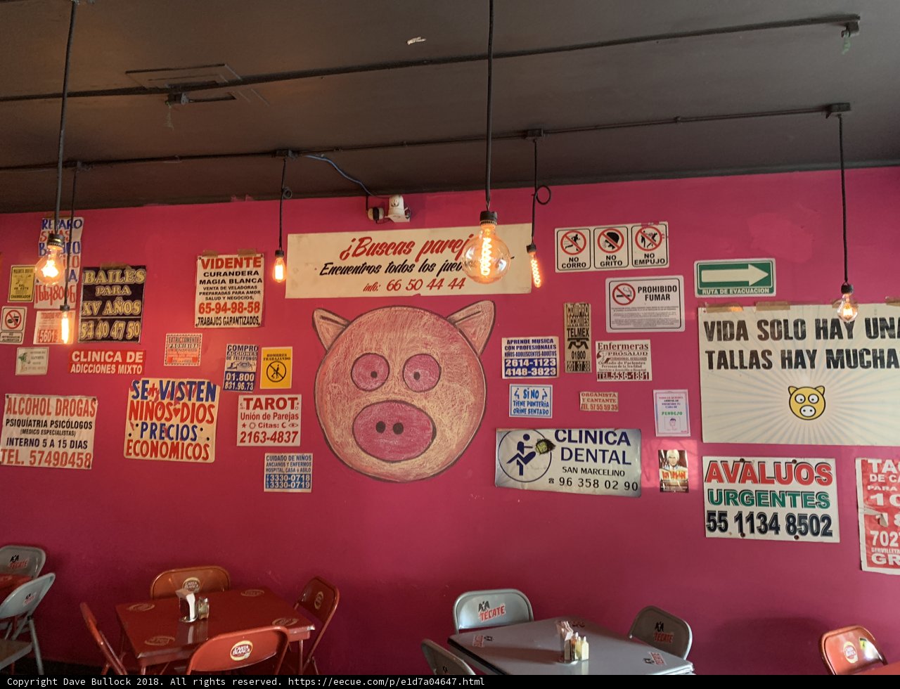 Pink Wall of Signs
