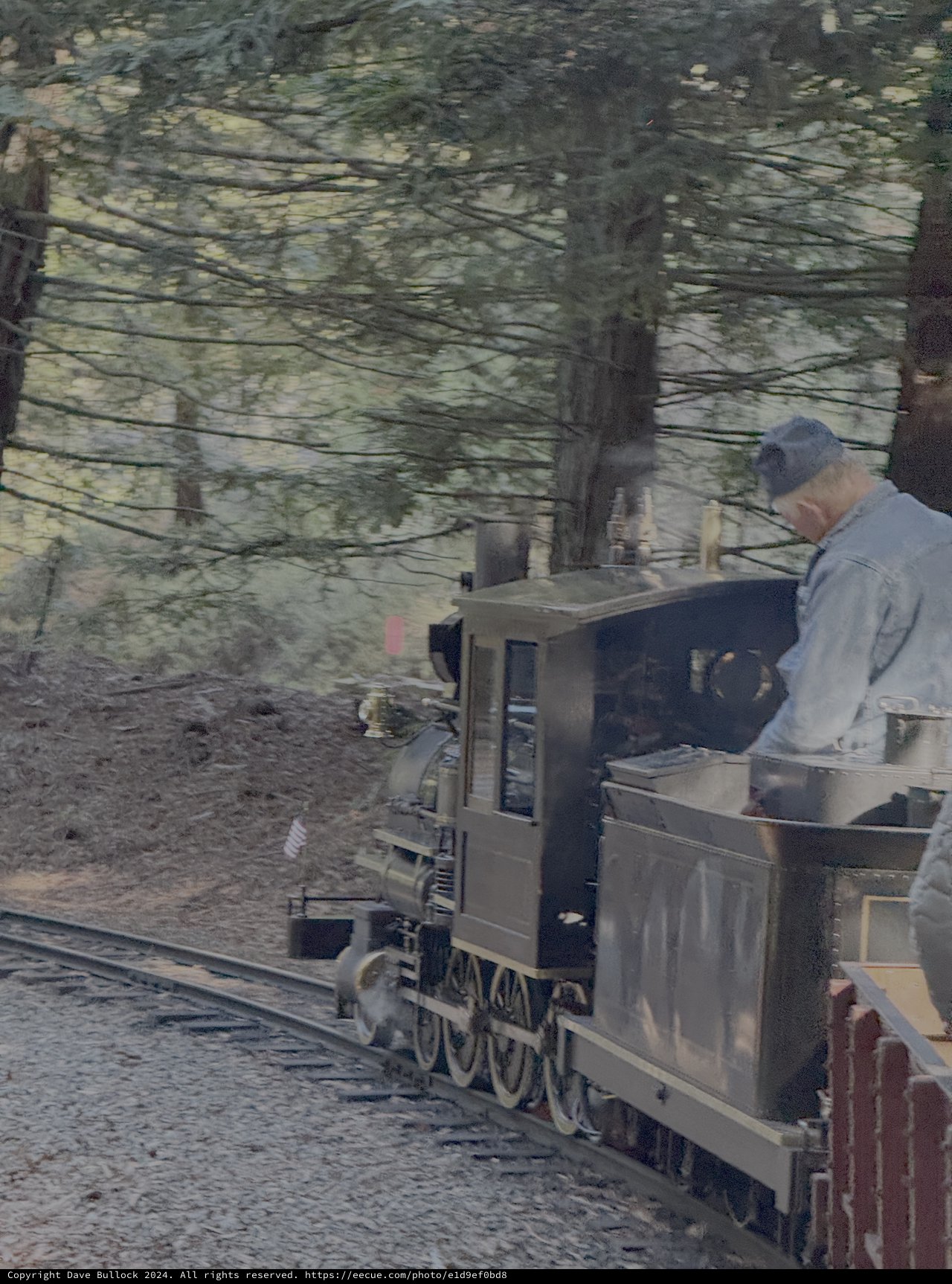 Steam Locomotive Engineer in Forest Setting