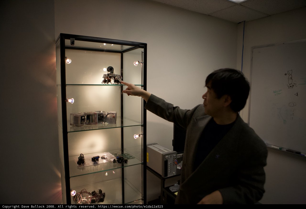 Pointing out the Best Display Cabinet