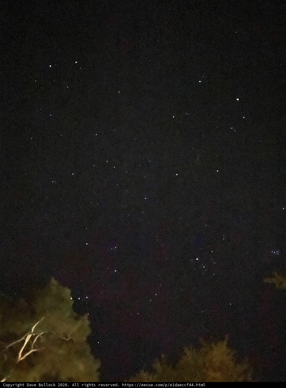 Stellar Night in Carmel