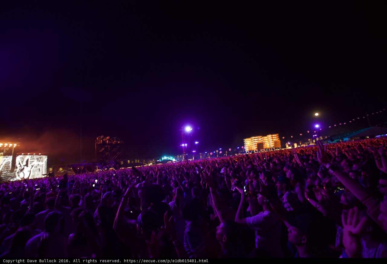 Rocking out Under the Night Sky